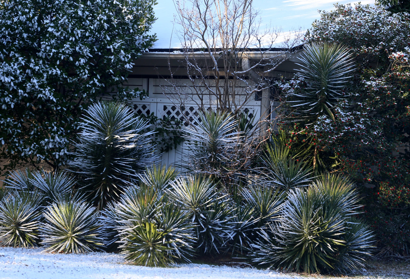 snow